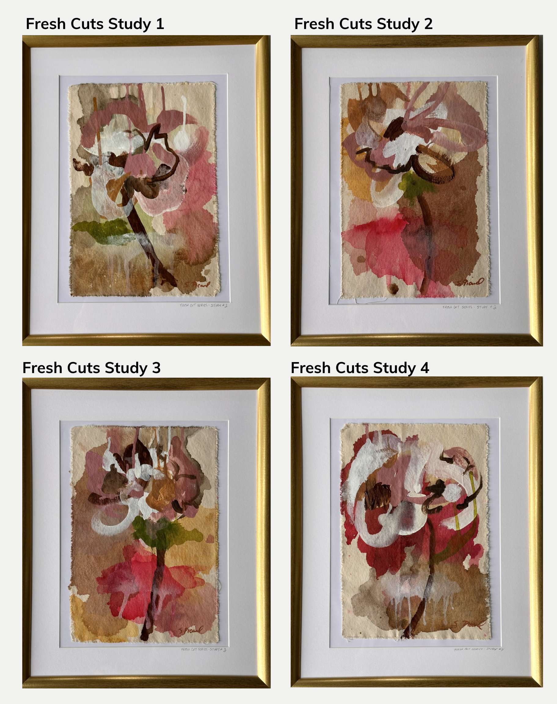Framed Studies from the Fresh Cuts Series (Originals)