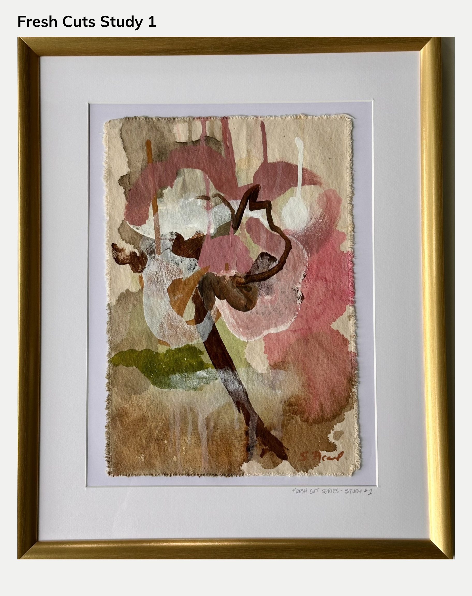 Framed Studies from the Fresh Cuts Series (Originals)