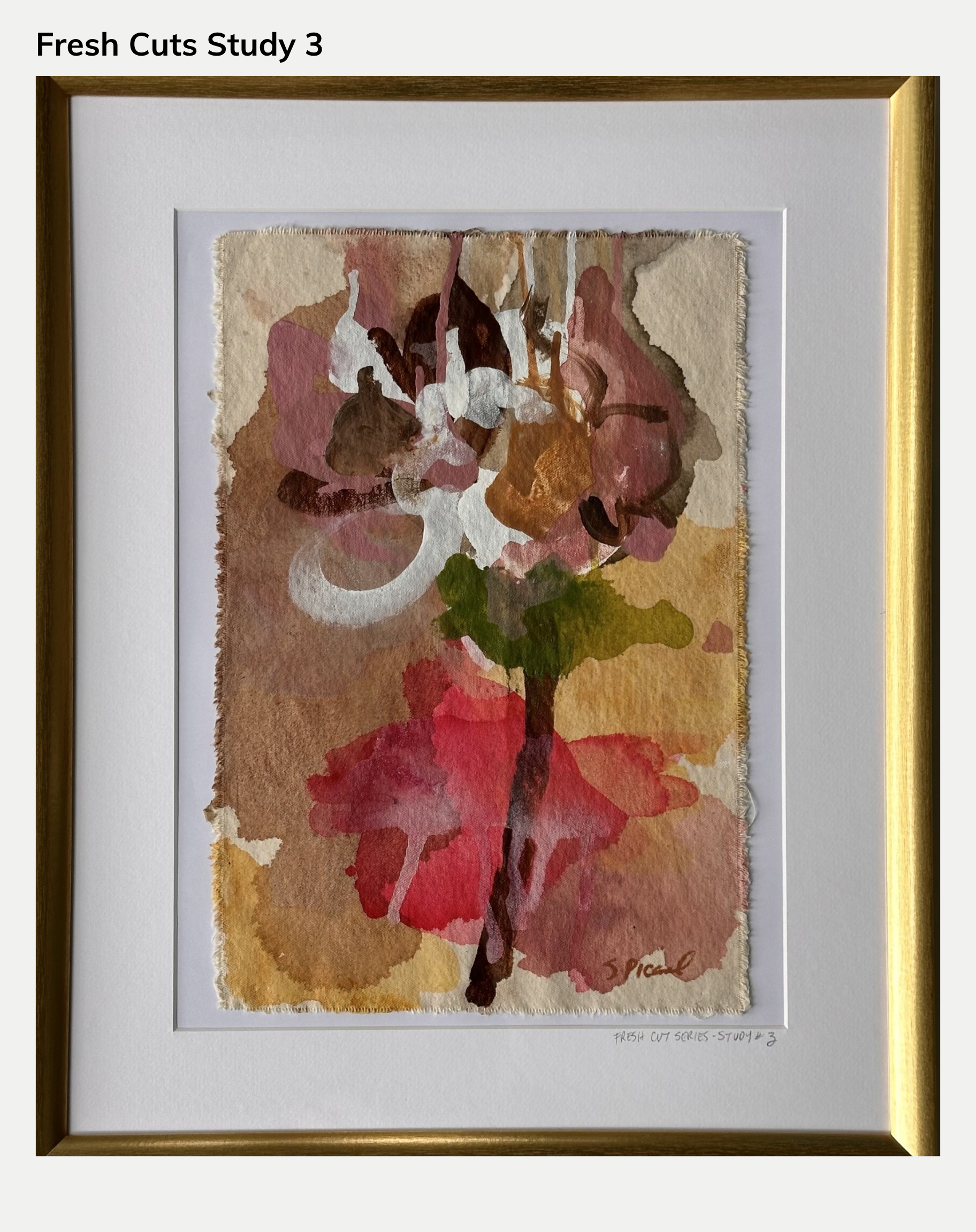 Framed Studies from the Fresh Cuts Series (Originals)