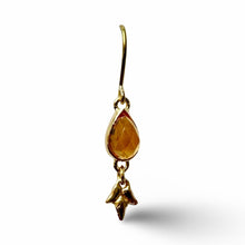 Load image into Gallery viewer, Lush Hippie Earring (21)
