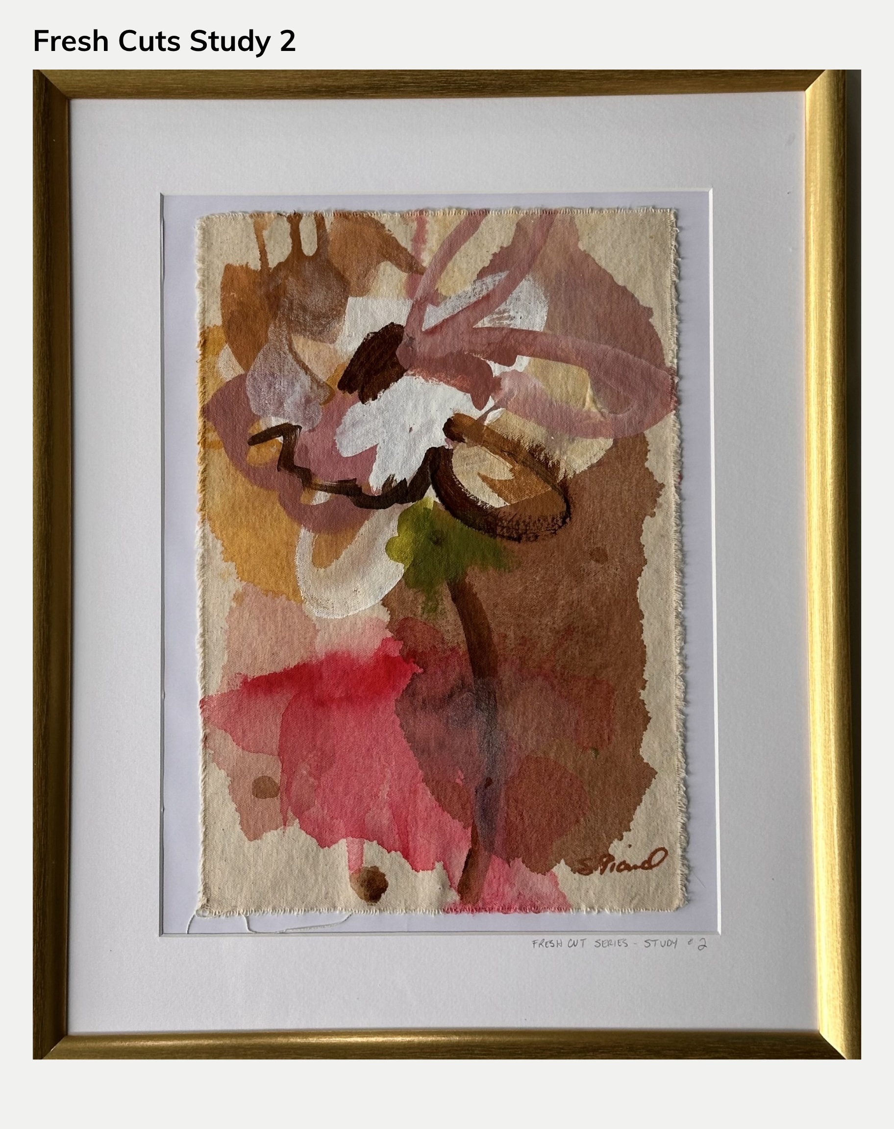 Framed Studies from the Fresh Cuts Series (Originals)