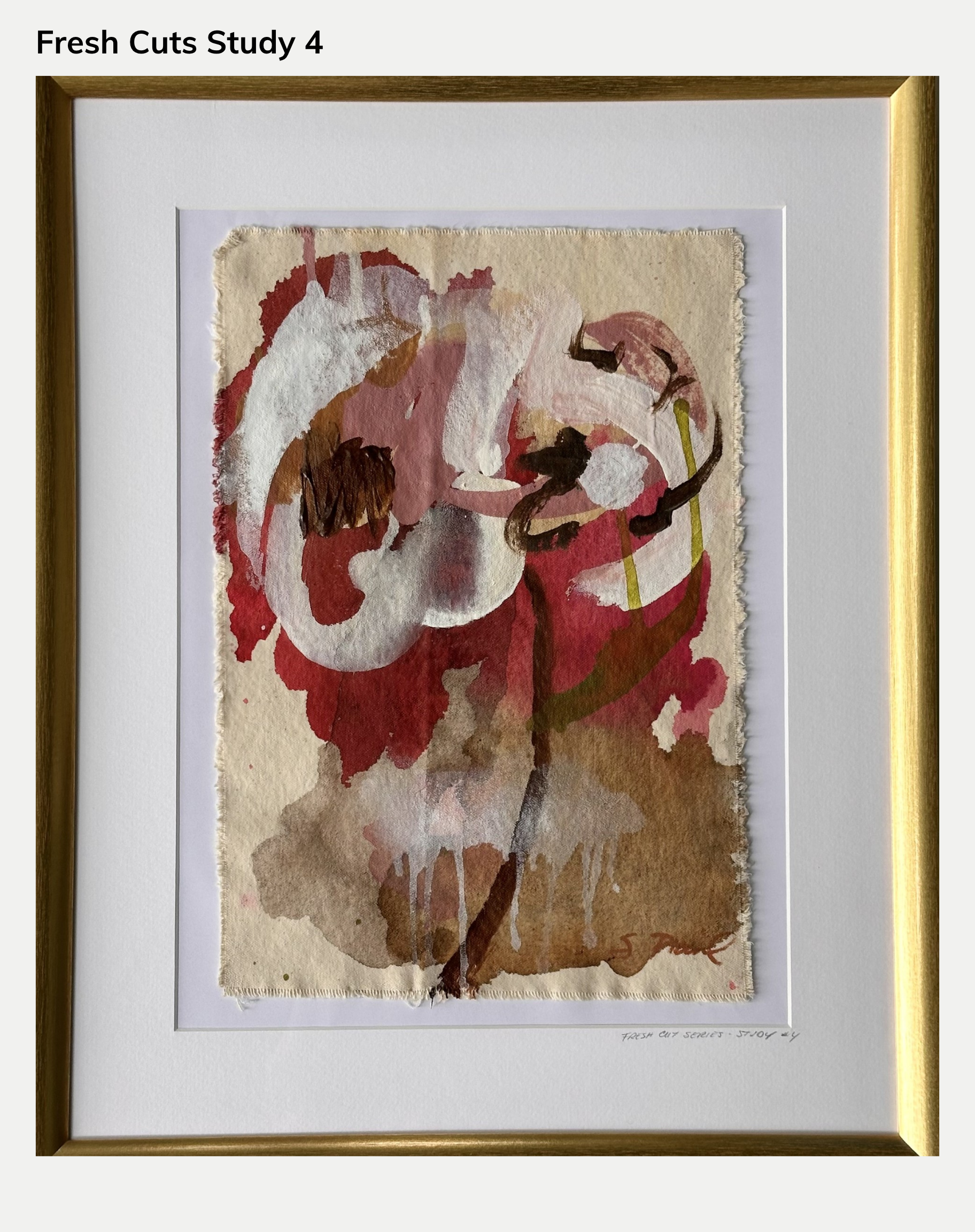 Framed Studies from the Fresh Cuts Series (Originals)